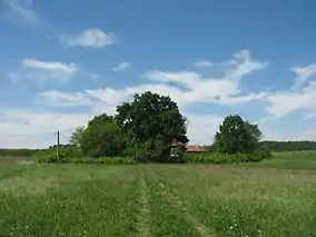 Cimitirul și biserica veche din Medeleni