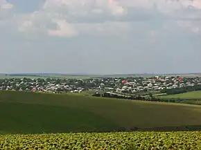 Vedere îndepărtată a unui cartier din oraș.