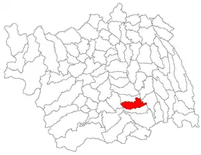 Amplasarea în cadrul județului