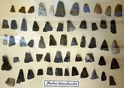 Vârfuri de săgeți ascuțite găsite pe insulă.