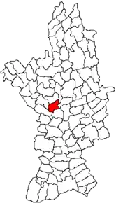 Amplasarea în cadrul județului