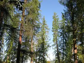 Imagine din rezervație