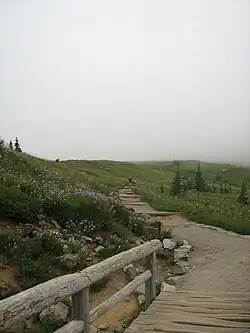 Paradise într-o zi cețoasă