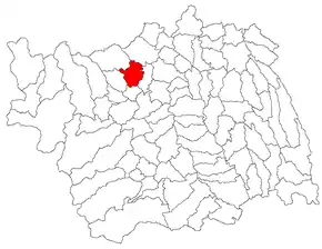 Poziția în cadrul județului Bacău