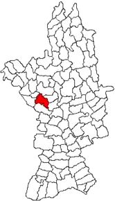 Amplasarea în cadrul județului