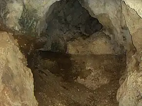 Peştera Cioarei, sat Boroşteni