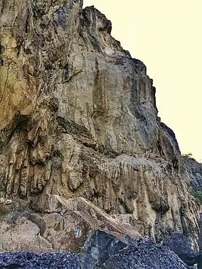 Imagine din rezervație (versantul calcaros al pârâului Ponorăț)