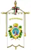 Logo oficial