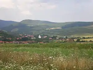 Situl Muntele Șes la Peștiș, Bihor