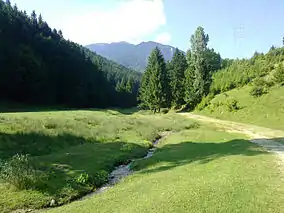 Imagine asupra sitului (în fundal Masivul Piatra Mare)