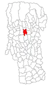 Amplasarea în cadrul județului