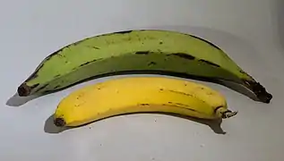 Platan și banană
