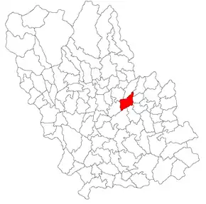 Amplasarea în cadrul județului