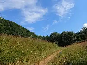 Imagine din rezervație