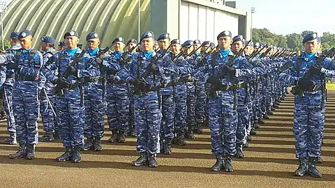 Trupe de aviație indoneziene