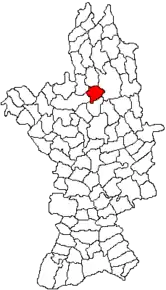 Amplasarea în cadrul județului