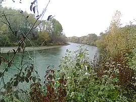 Râul Prut curgând vara între raionul Glodeni (stânga) și județul Botoșani (dreapta)