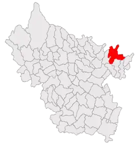 Poziția localității Puiești