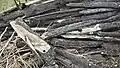 lemne carbonizate, în principal stâlpi şi bârne dintre ei