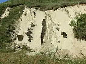 Domnești (Rezervația naturală ˝Râpa cu păpuși˝)