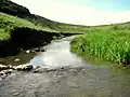 Râul Hășdate la intrarea în  Cheile Turzii