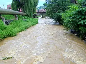 Râul Sadu în localitatea cu același nume