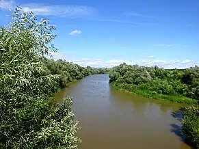 Râul Târnava la Mihalț înainte de vărsarea în Mureș