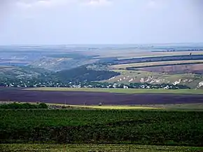 Vedere îndepărtată.