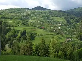 Panorama satului Baba ,com. Horea , jud.Alba
