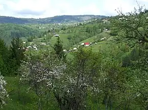 Horea, vedere spre Niculești