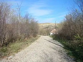 Valea Sasului