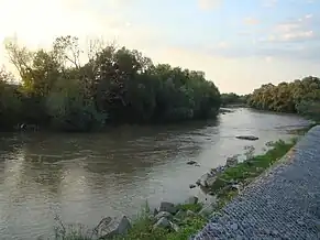 Râul Mureș la Zărieș