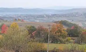 Panoramă dinspre Goila