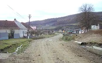 Satul Albeștii Bistriței