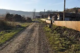 Satul Fânațele Silivașului