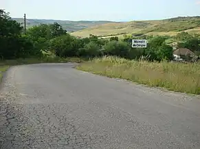 Intrarea în Miceștii de Câmpie