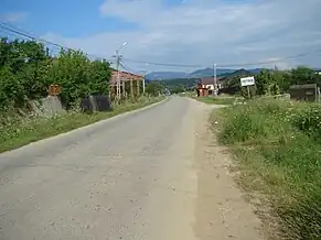 Intrarea în satul Petriș