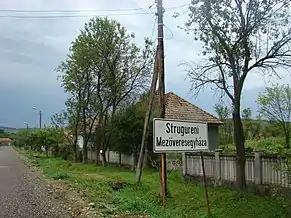 Intrarea în Strugureni