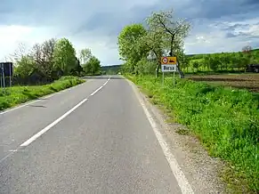 Intrarea în satul Borșa