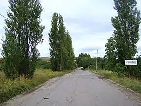 Intrarea în localitate