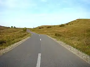 Drumul Vișea-Coasta