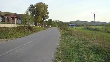 Intrarea în localitate