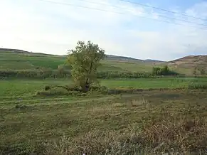 Coasta, județul Cluj