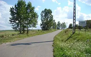 Intrarea în localitate