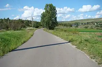 Drumul Mărtinești-Comșești