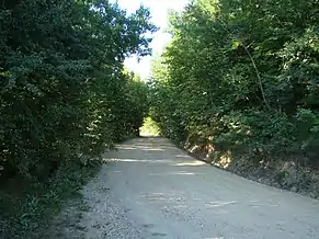 Drumul spre Mănăstirea Muntele Rece