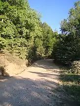 Drumul spre Mănăstirea de la Muntele Rece