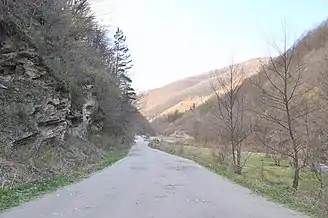 Drumul spre Ocolișel