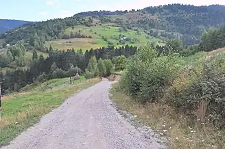 Drumul spre Răchițele