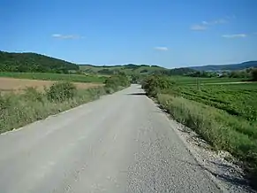 Drumul Panticeu-Recea-Cristur